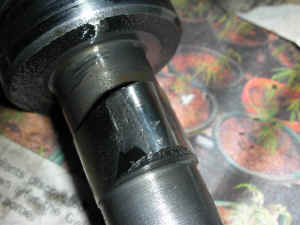 DSCN0196.JPG (141449 bytes)