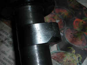 DSCN0198.JPG (117817 bytes)