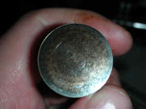 DSCN0220.JPG (99077 bytes)