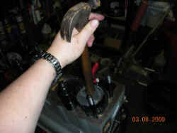 DSCN0499.jpg (64759 bytes)