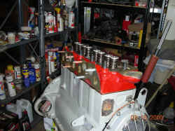 DSCN0543.jpg (134832 bytes)