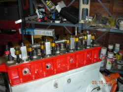 DSCN0553.jpg (122554 bytes)